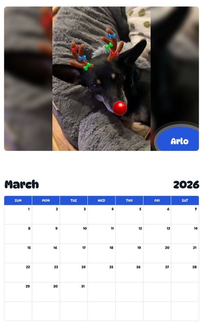 November 2025 - October 2026 Arlo - Pawidols Pet Calendar
