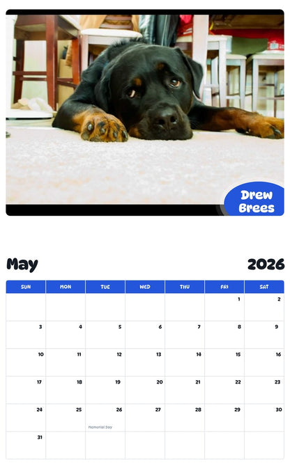 2026 - 2027 Drew Brees - Pawidols Pet Calendar