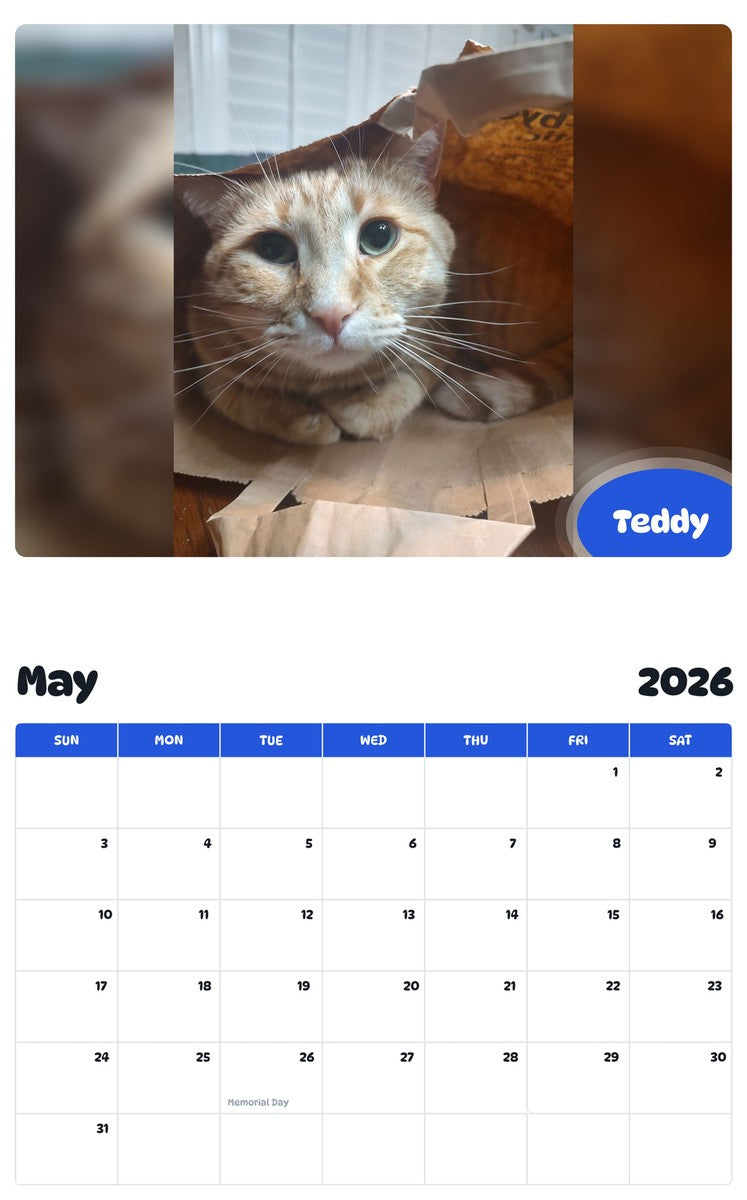 2026 - 2027 Teddy - Pawidols Pet Calendar