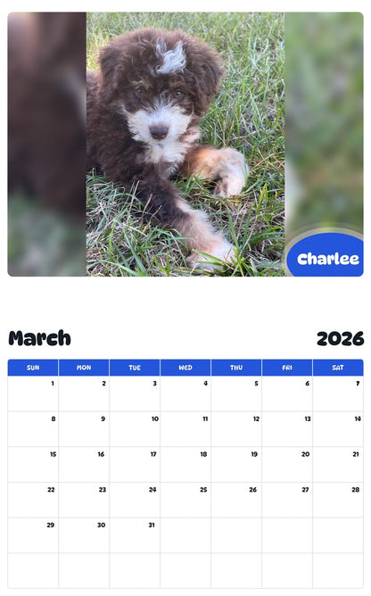 November 2025 - October 2026 Charlee - Pawidols Pet Calendar