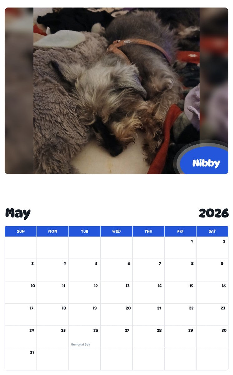 2026 - 2027 Nibby - Pawidols Pet Calendar