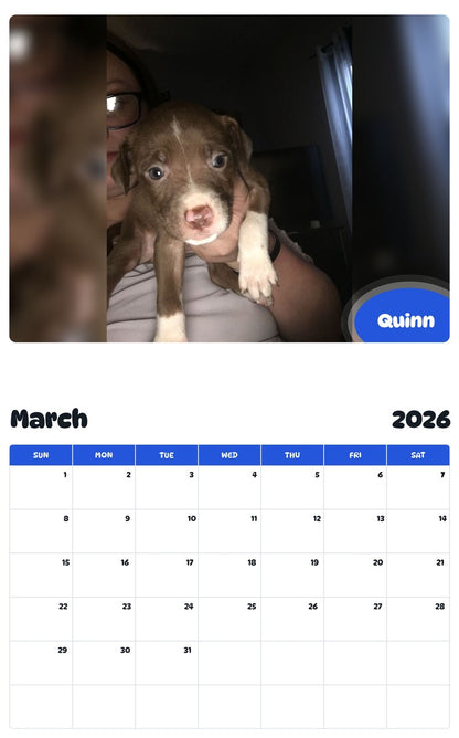 November 2025 - October 2026 Quinn - Pawidols Pet Calendar