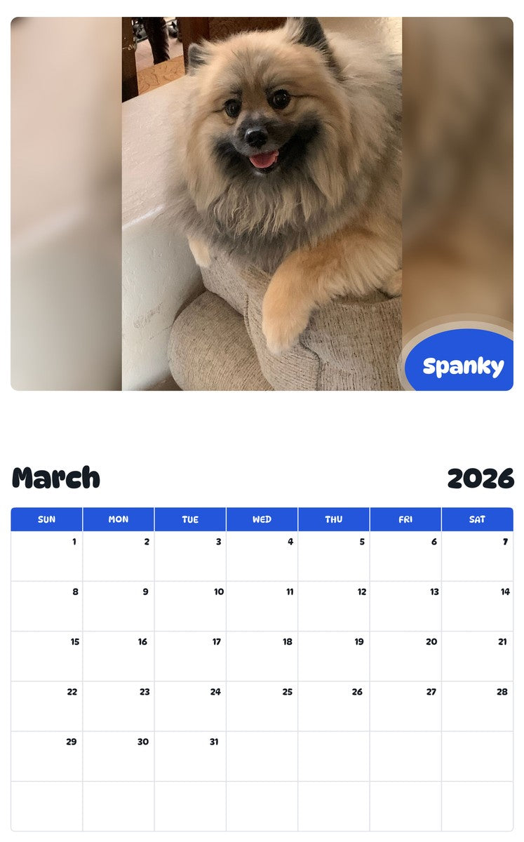 November 2025 - October 2026 Spanky - Pawidols Pet Calendar