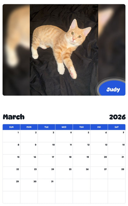 November 2025 - October 2026 Judy - Pawidols Pet Calendar