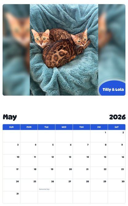 2026 - 2027 Tilly & Lola - Pawidols Pet Calendar