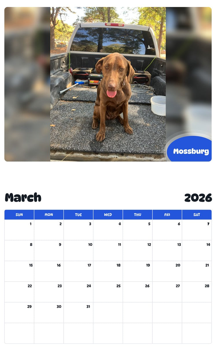 November 2025 - October 2026 Mossburg - Pawidols Pet Calendar