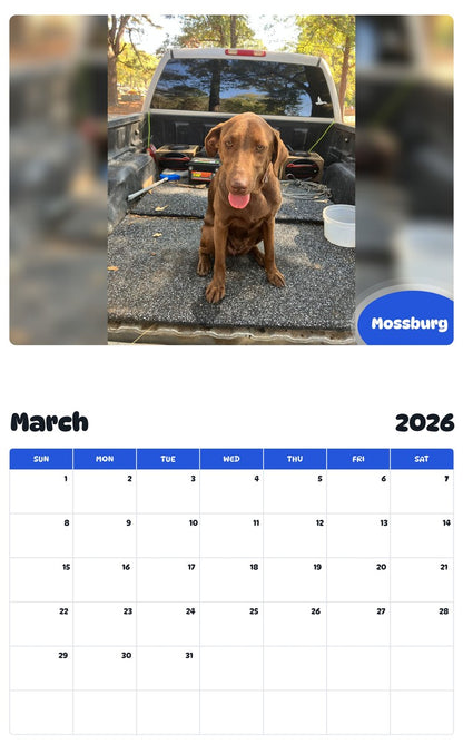November 2025 - October 2026 Mossburg - Pawidols Pet Calendar