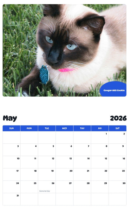 2026 - 2027 Cougar AKA Cookie - Pawidols Pet Calendar