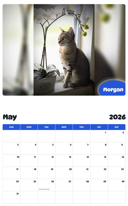 2026 - 2027 Morgan - Pawidols Pet Calendar