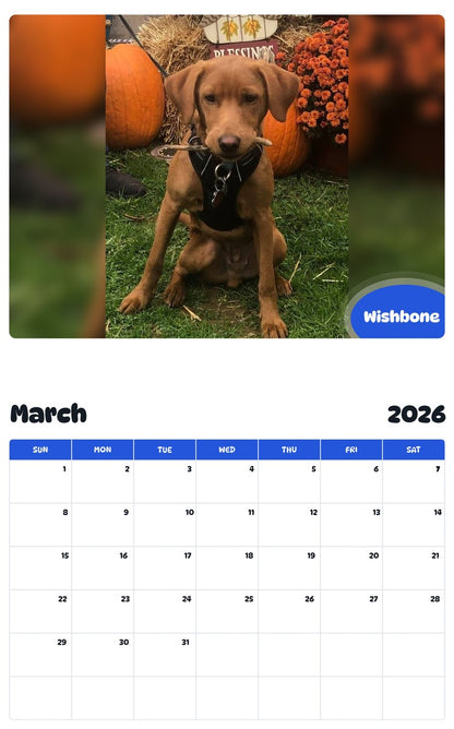 November 2025 - October 2026 Wishbone - Pawidols Pet Calendar