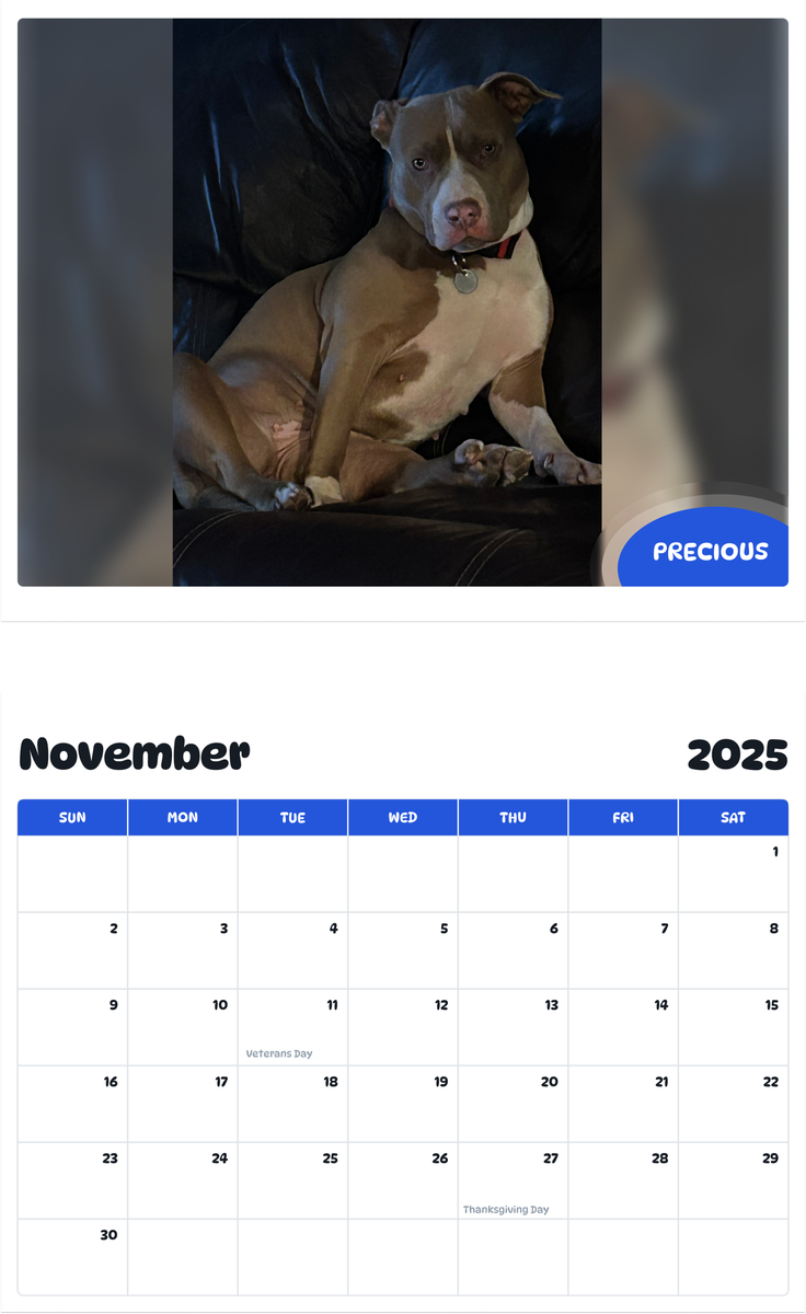 July 2025 - June 2026 precious - Pawidols Pet Calendar