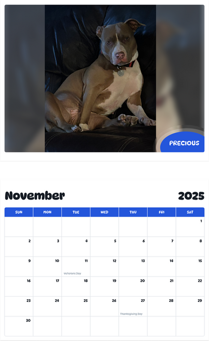 July 2025 - June 2026 precious - Pawidols Pet Calendar