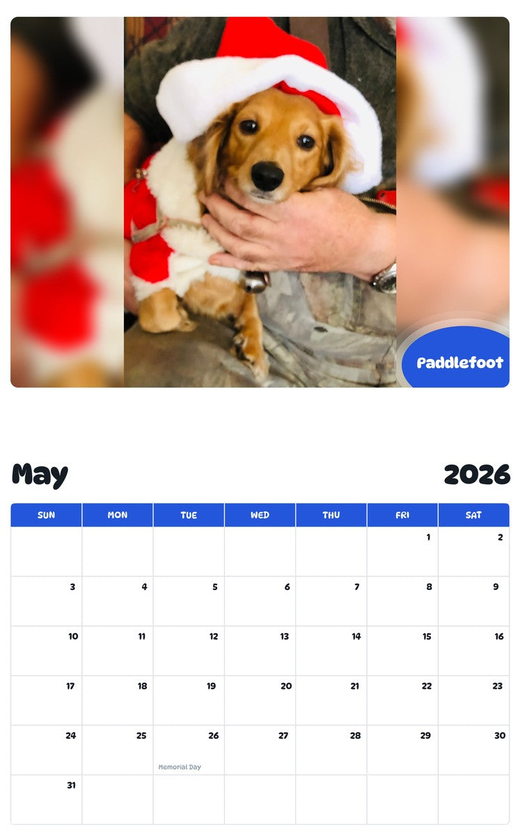 2026 - 2027 Paddlefoot - Pawidols Pet Calendar