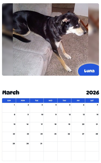 November 2025 - October 2026 Luna - Pawidols Pet Calendar