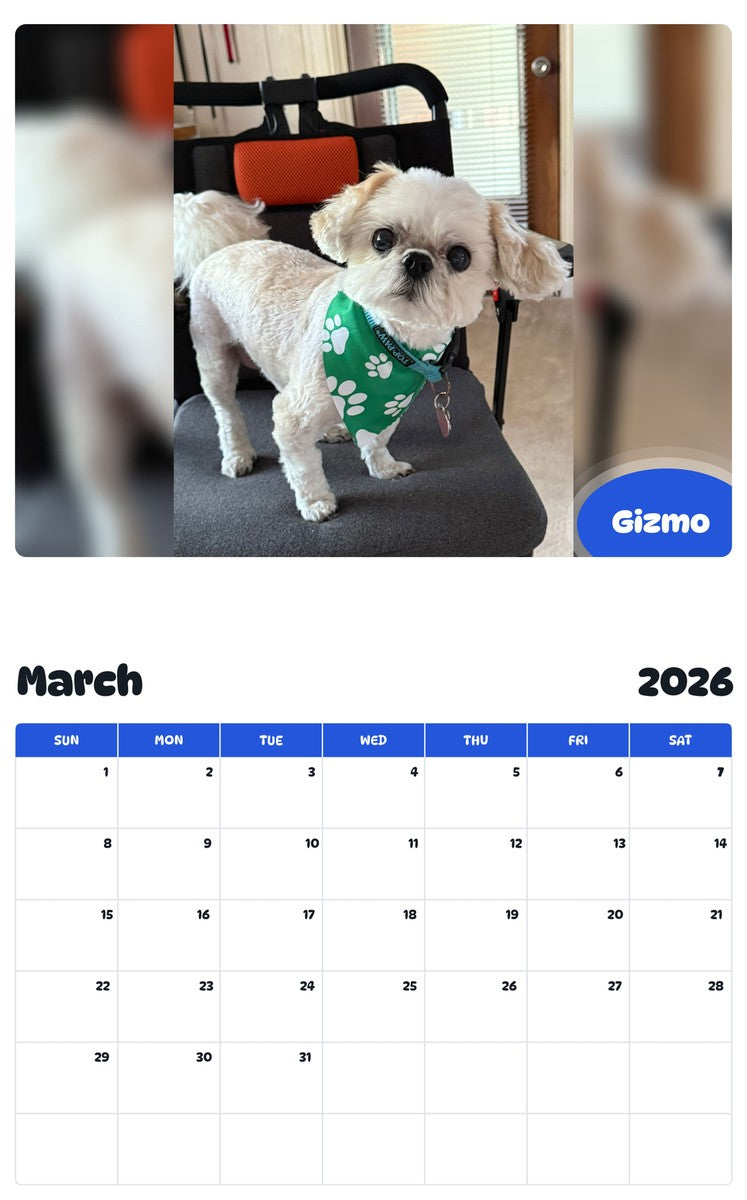 November 2025 - October 2026 Gizmo - Pawidols Pet Calendar
