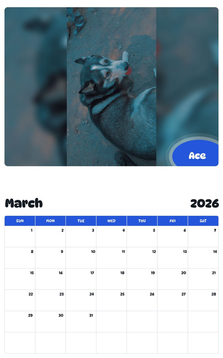 November 2025 - October 2026 Ace - Pawidols Pet Calendar