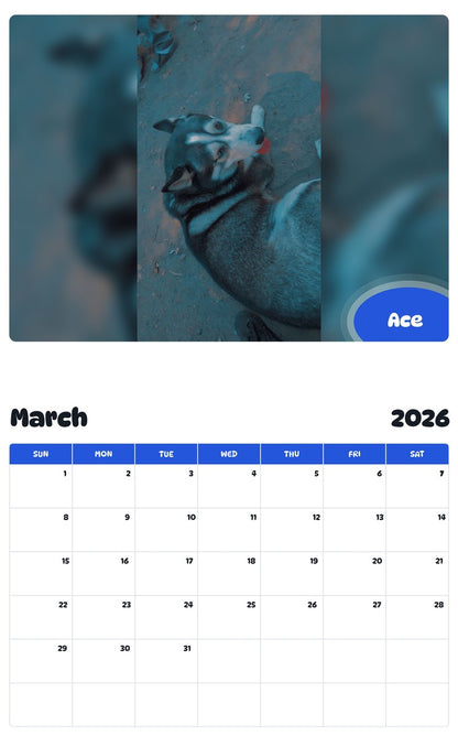 November 2025 - October 2026 Ace - Pawidols Pet Calendar
