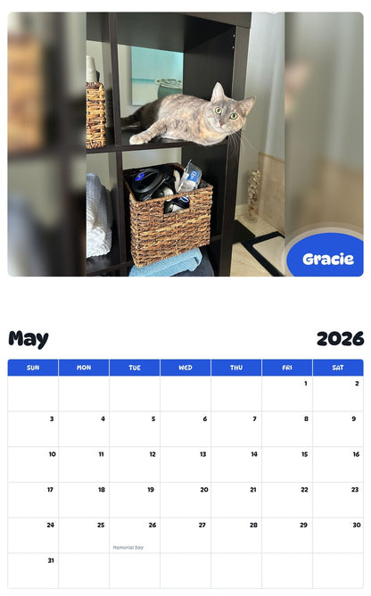 2026 - 2027 Gracie - Pawidols Pet Calendar