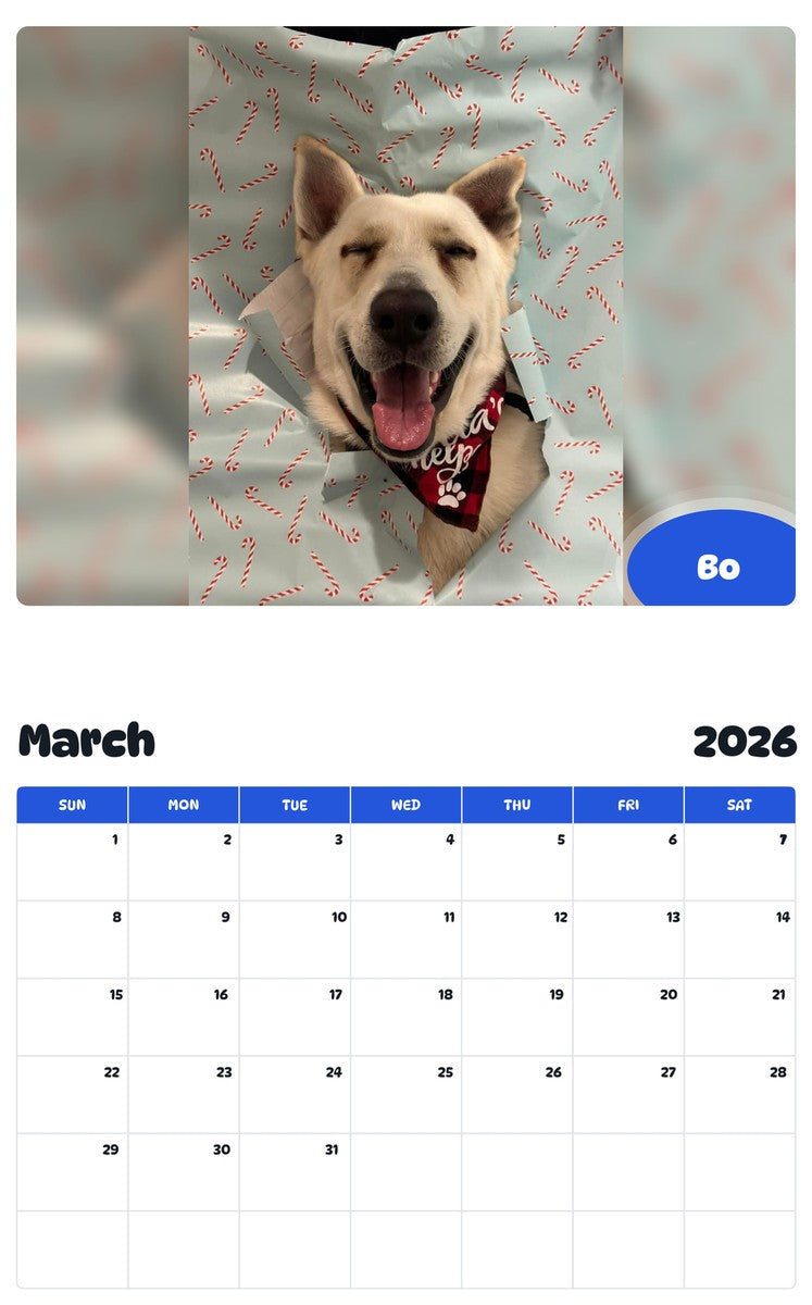 November 2025 - October 2026 Bo - Pawidols Pet Calendar