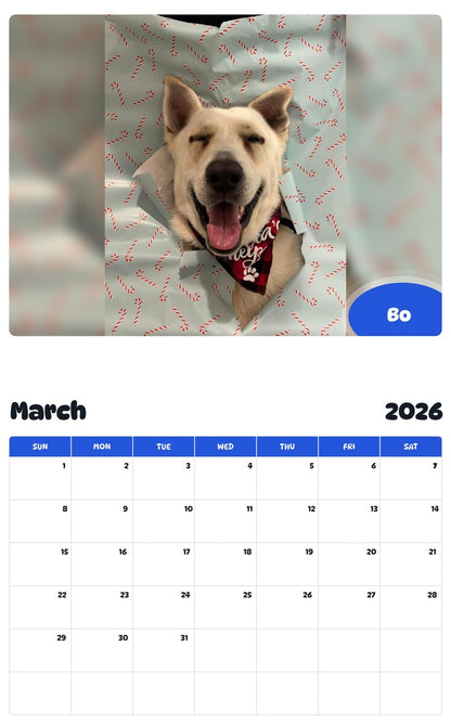 November 2025 - October 2026 Bo - Pawidols Pet Calendar