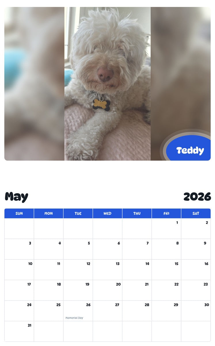 2026 - 2027 Teddy - Pawidols Pet Calendar