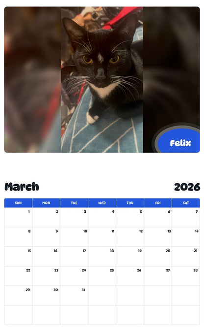 November 2025 - October 2026 Felix - Pawidols Pet Calendar