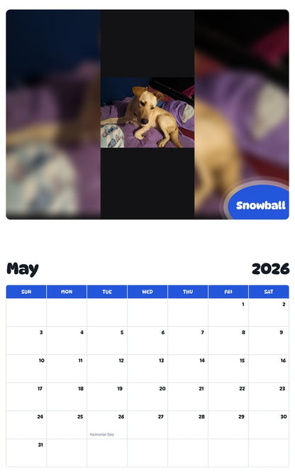 2026 - 2027 Snowball - Pawidols Pet Calendar