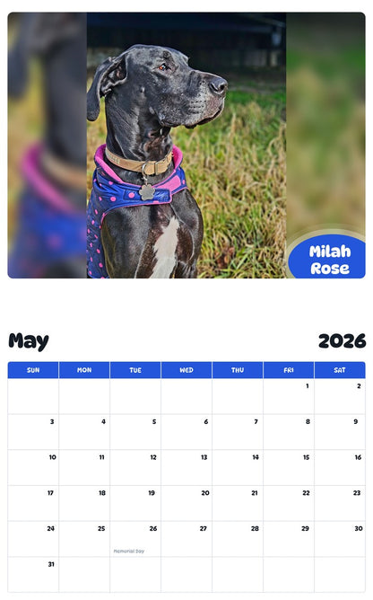 2026 - 2027 Milah Rose - Pawidols Pet Calendar