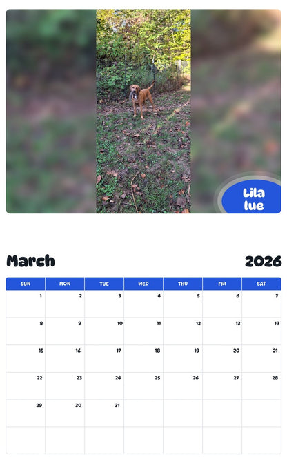 November 2025 - October 2026 Lila lue - Pawidols Pet Calendar