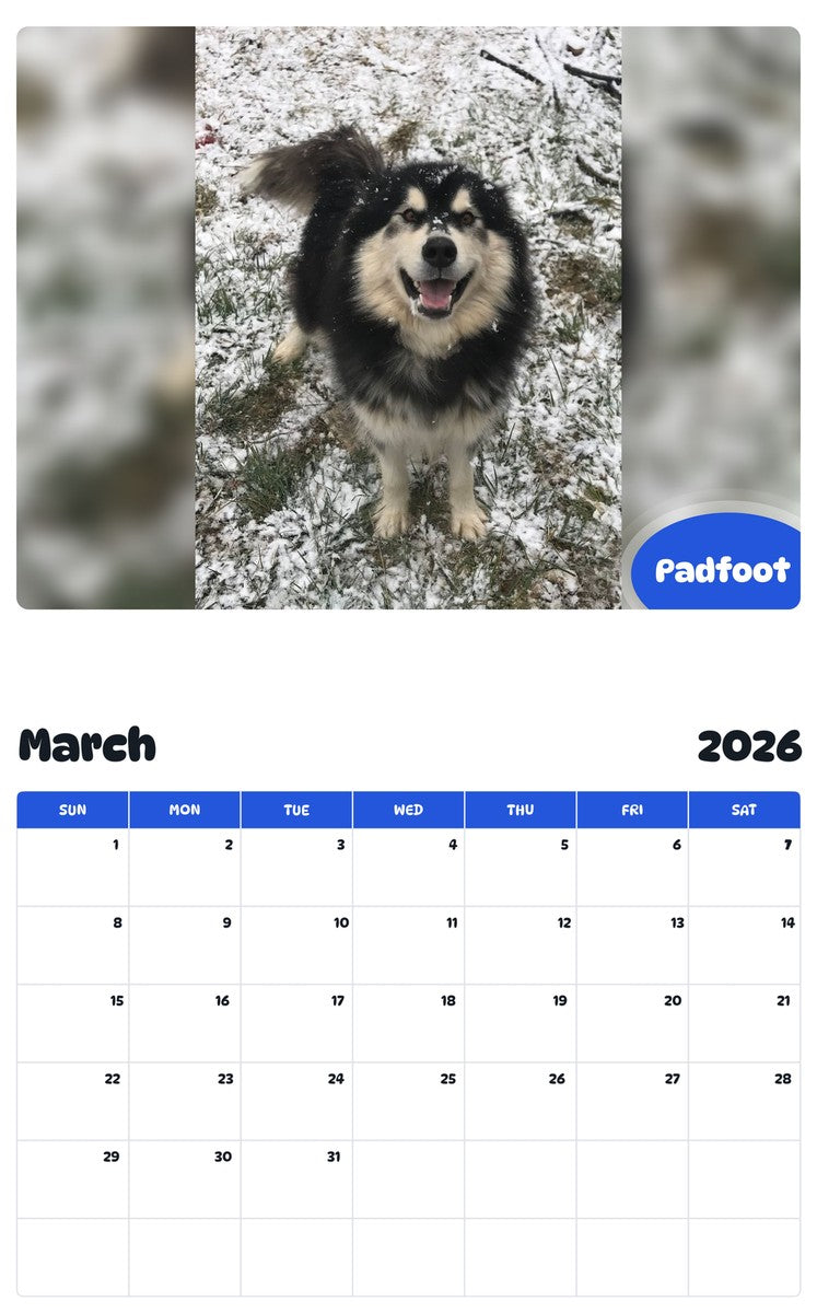 November 2025 - October 2026 Padfoot - Pawidols Pet Calendar