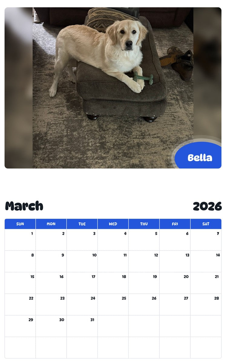 November 2025 - October 2026 Bella - Pawidols Pet Calendar