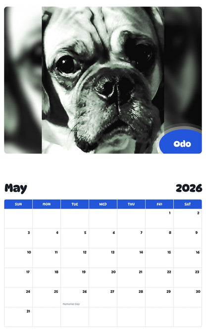2026 - 2027 Odo - Pawidols Pet Calendar