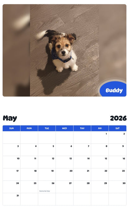 2026 - 2027 Buddy - Pawidols Pet Calendar