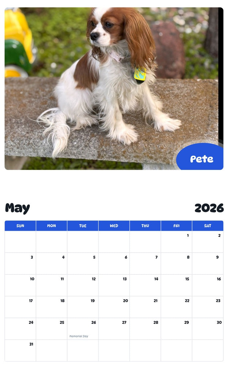 2026 - 2027 Pete - Pawidols Pet Calendar