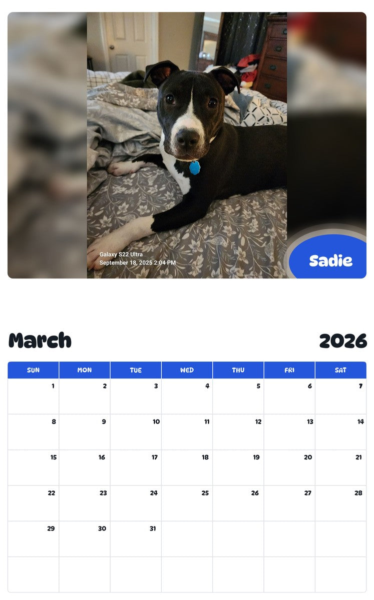 November 2025 - October 2026 Sadie - Pawidols Pet Calendar