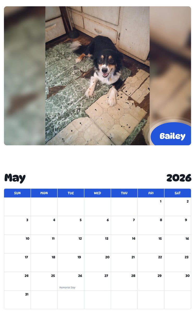 2026 - 2027 Bailey - Pawidols Pet Calendar