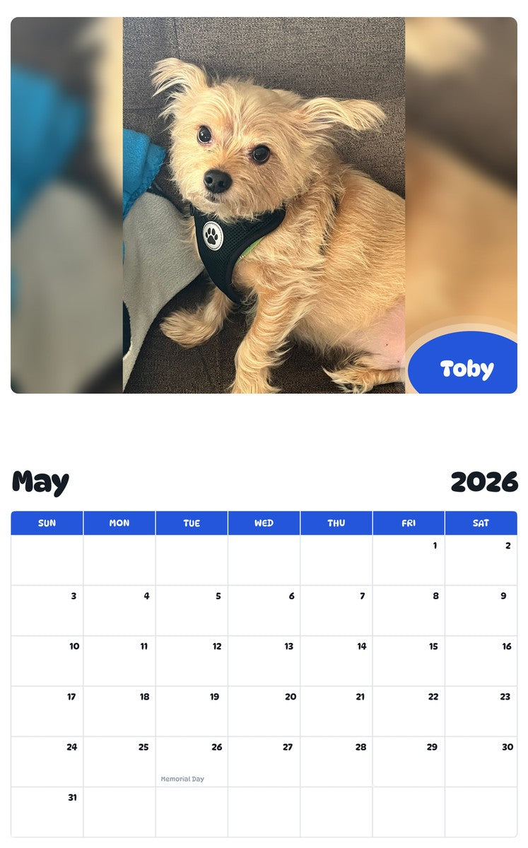 2026 - 2027 Toby - Pawidols Pet Calendar