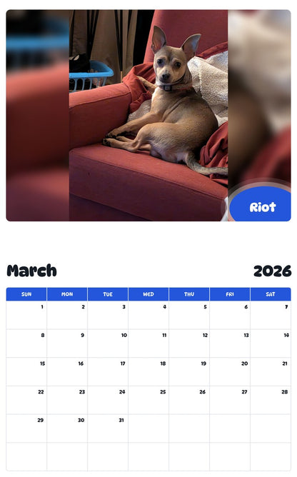 November 2025 - October 2026 Riot - Pawidols Pet Calendar