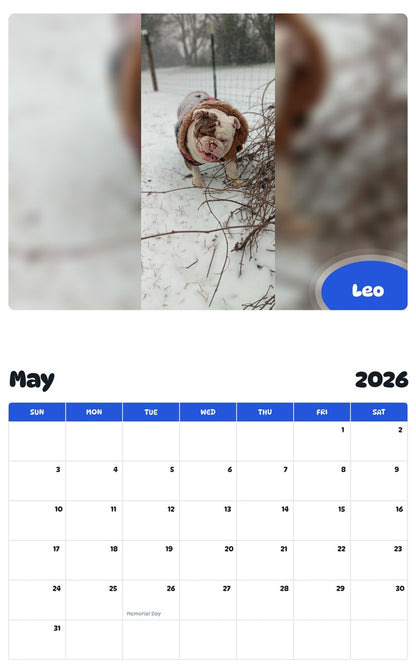2026 - 2027 Leo - Pawidols Pet Calendar