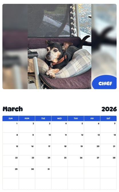 November 2025 - October 2026 CHIEF - Pawidols Pet Calendar