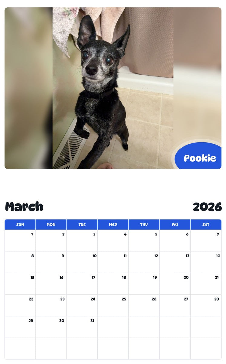November 2025 - October 2026 Pookie - Pawidols Pet Calendar