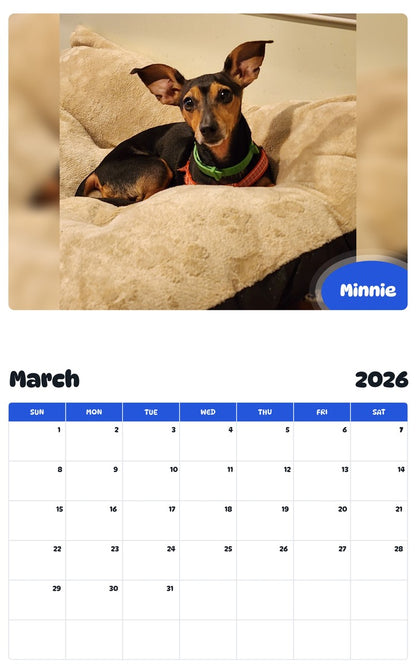 November 2025 - October 2026 Minnie - Pawidols Pet Calendar