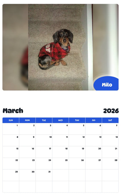November 2025 - October 2026 Milo - Pawidols Pet Calendar