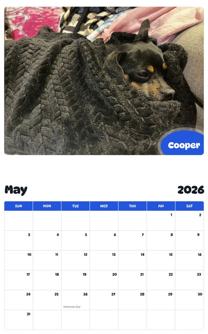 2026 - 2027 Cooper - Pawidols Pet Calendar