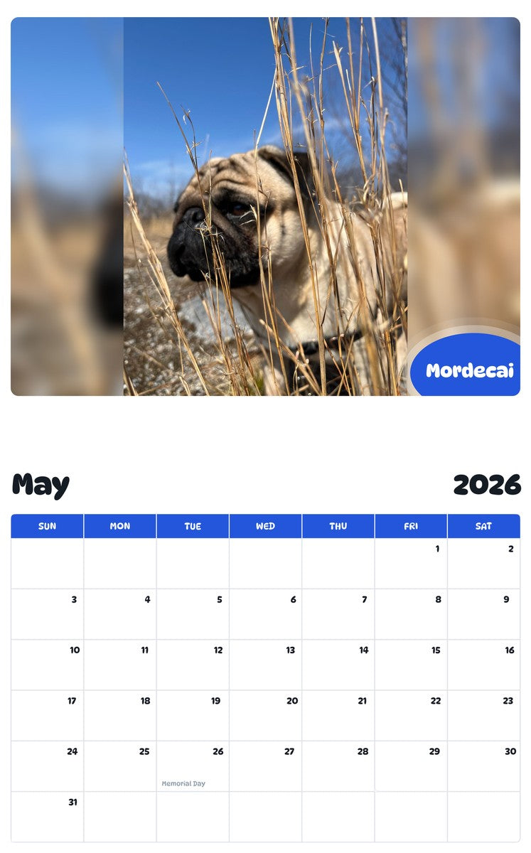 2026 - 2027 Mordecai - Pawidols Pet Calendar