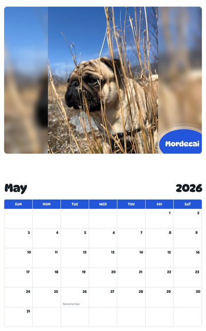 2026 - 2027 Mordecai - Pawidols Pet Calendar