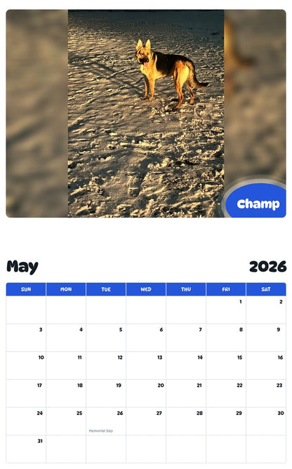 2026 - 2027 Champ - Pawidols Pet Calendar