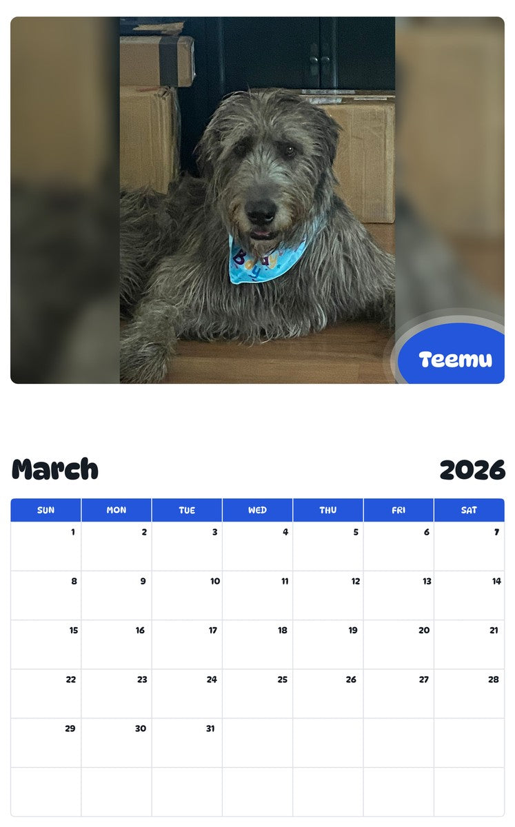 November 2025 - October 2026 Teemu - Pawidols Pet Calendar