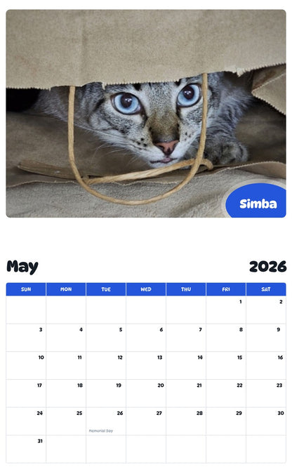 2026 - 2027 Simba - Pawidols Pet Calendar