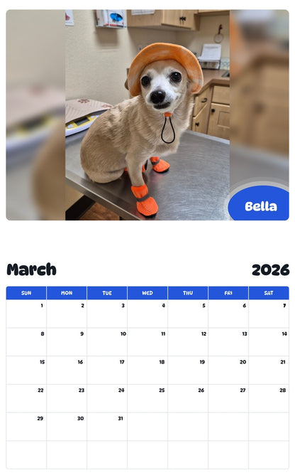November 2025 - October 2026 Bella - Pawidols Pet Calendar